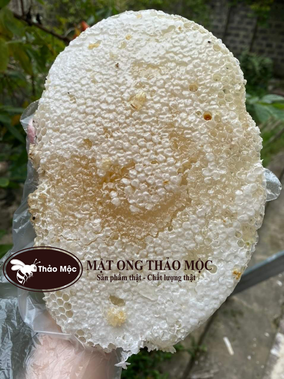 MẬT ONG TRẮNG THẢO MỘC CHAI - Ảnh 2